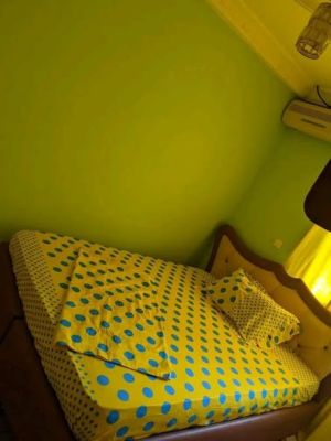 Studio meublé à Yaoundé pont Effoulan et entrée terre rouge damas - Image 3