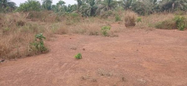 #Offre de #parcelles à #Belle_vue_Zagopé_Clinique - Image 2