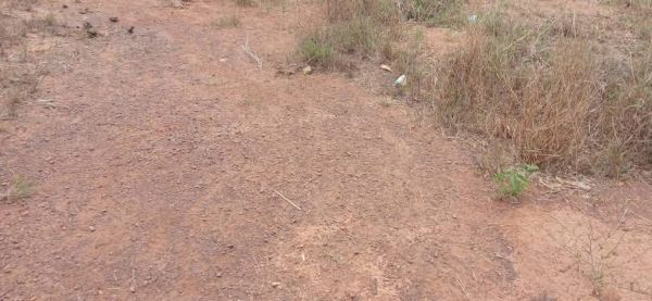 #Offre de #parcelles à #Belle_vue_Zagopé_Clinique - Image 3