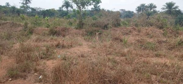 #Offre de #parcelles à #Belle_vue_Zagopé_Clinique - Image 4