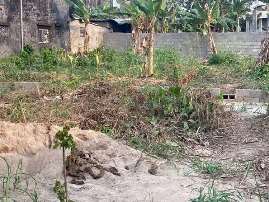 Terrain a vendre - LOGBESSOU MAXIMUM 300 M DU CARREFOUR LOGBESSOU A DROITE VENANT DE LOGPOM. - Image 2