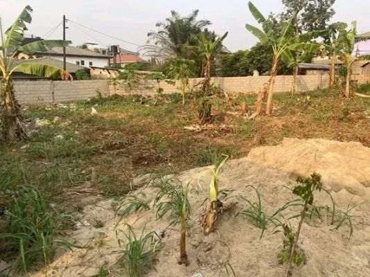 Terrain a vendre - LOGBESSOU MAXIMUM 300 M DU CARREFOUR LOGBESSOU A DROITE VENANT DE LOGPOM. - Image 3