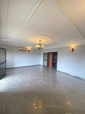 Appartement moderne haut standing entièrement climatisé avec groupe électrogène chauffe - Image 1