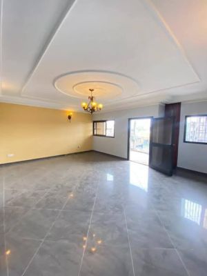 Appartement moderne haut standing entièrement climatisé avec groupe électrogène chauffe - Image 2