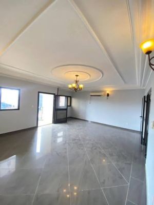 Appartement moderne haut standing entièrement climatisé avec groupe électrogène chauffe - Image 3