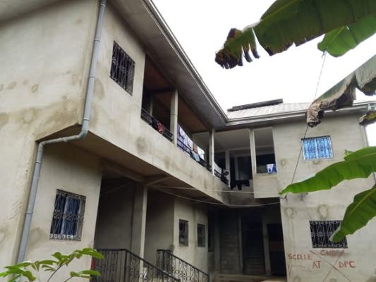 Studio moderne à logbessou Tampico à partir de 45k à 2 pas du nouveau goudron - Image 2