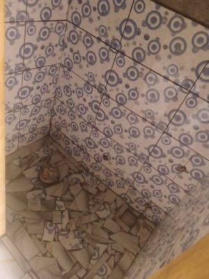 Grande boutique en bordure de route principale avec douche moderne idéal pour tout type d'activité 40mil 10mois d'ava... - Image 3