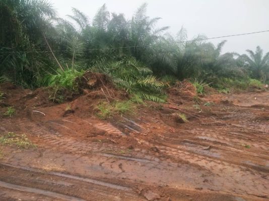 Terrain titre Loti a