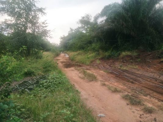 Terrain titre Loti a - Image 4