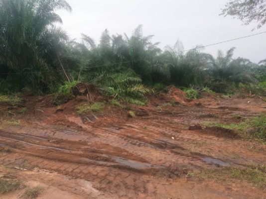 Terrain titre Loti a - Image 5