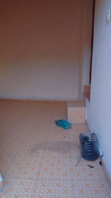 studio modern nouvellement construite a louer a mvog betsi en bordure de route - Image 1