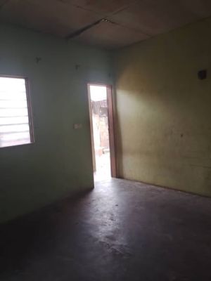 Studio 3 pièces makepe missoke dépôt banane - Image 1