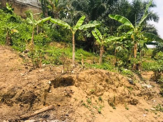 voila un 210m2 sec nyalla nkolbong  à 150m2 du goudron Titre global ( certificat de vente ) - Image 1