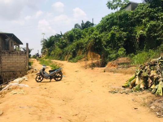 voila un 210m2 sec nyalla nkolbong  à 150m2 du goudron Titre global ( certificat de vente ) - Image 3