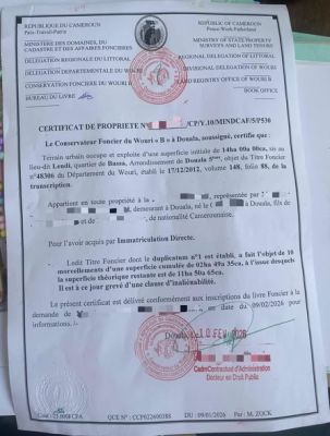 Terrain titré à vendre à Lendi après l'internat - Image 1