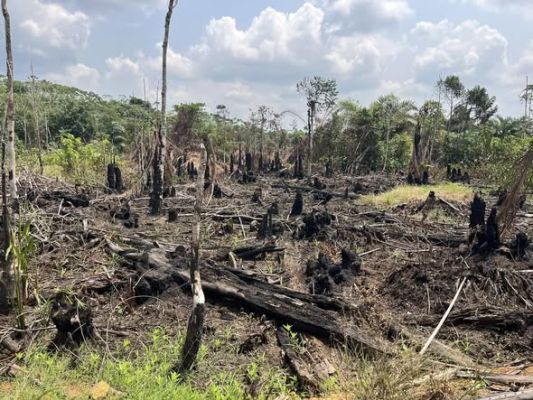 Terrain titré à vendre à Lendi après l'internat - Image 2