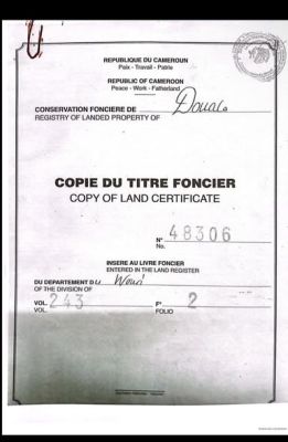 Terrain titré à vendre à Lendi après l'internat - Image 4