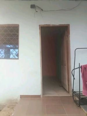 Grosse occasion en or dans l'immobilier !!!!! Voilà une belle chambre moderne + douche + coin cuisine à louer - Image 5