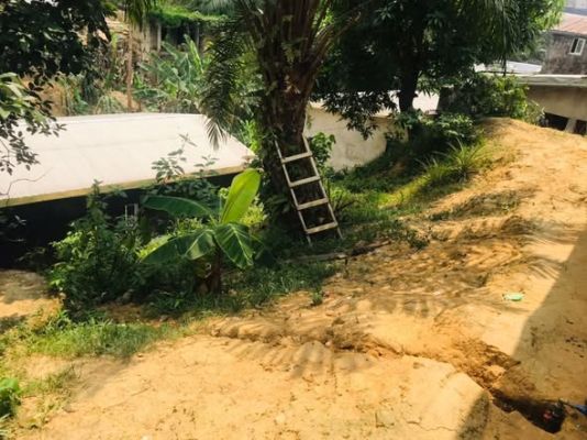 Terrain de 300m2 légèrement accidenté nyalla nkolbong  à 200m2 du goudron titre global ( certificat de vente ) - Image 1