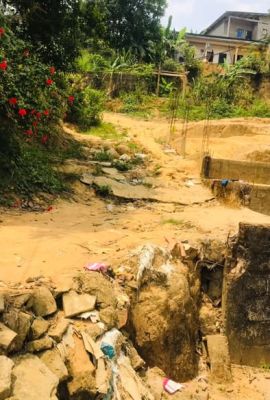 Terrain de 300m2 légèrement accidenté nyalla nkolbong  à 200m2 du goudron titre global ( certificat de vente ) - Image 3