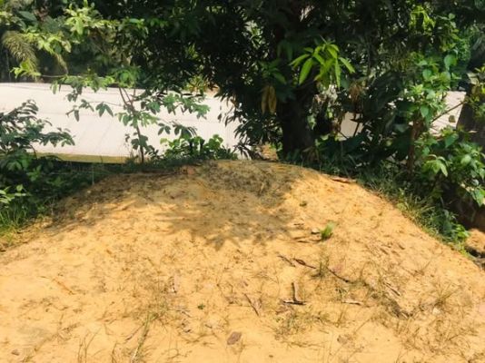 Terrain de 300m2 légèrement accidenté nyalla nkolbong  à 200m2 du goudron titre global ( certificat de vente ) - Image 4