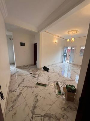 Magnifique Appartement Tout neuf nouvellement construit à Louer Y'dé Biyem Assi Jouvence - Image 2