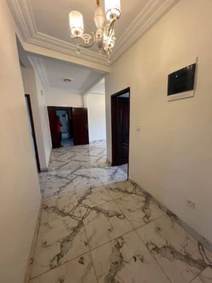 Magnifique Appartement Tout neuf nouvellement construit à Louer Y'dé Biyem Assi Jouvence - Image 3