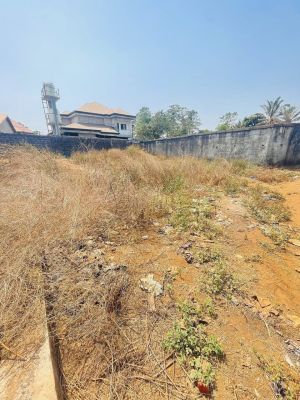 Terrain de 450m² À Vendre a Grand Moulin (KAGBELEN)