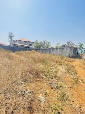 Terrain de 450m² À Vendre a Grand Moulin (KAGBELEN) - Image 3