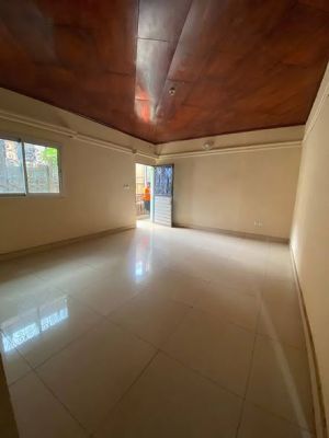 STUDIO PROPRE ET ACCESSIBLE ?   TRADEX ÉLEVEUR - Image 1