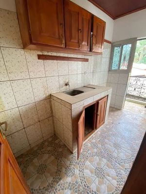 STUDIO PROPRE ET ACCESSIBLE ?   TRADEX ÉLEVEUR - Image 3