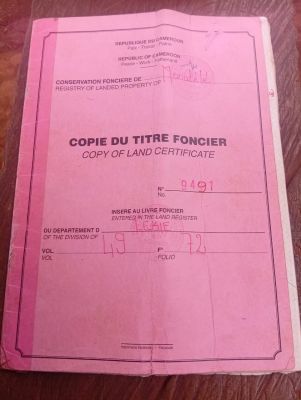 Terrain à vendre à nyom 1000 m2 titré à 5000cfa le m2 tel:695027221