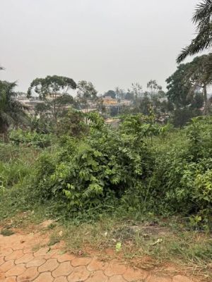 Terrain a vendre a Obobogo - Image 3