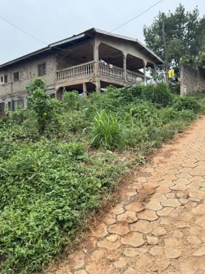 Terrain a vendre a Obobogo - Image 4