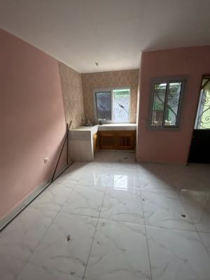 Plusieurs magnifiques studios modernes nouvellement construits à pk14. 200f de la route - Image 3